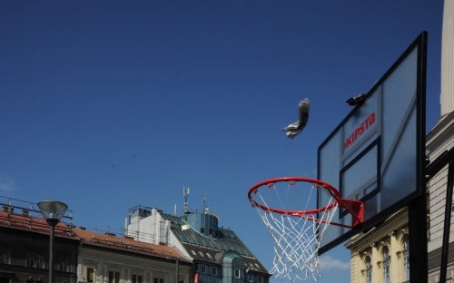 Kosarasaink a környezetvédelemért image 16 24952.jpg