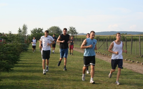 Zajlik az alapozás image 14 img_0696.jpg